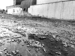 苏州一化工厂排污超标 村民多人患病诉求无门